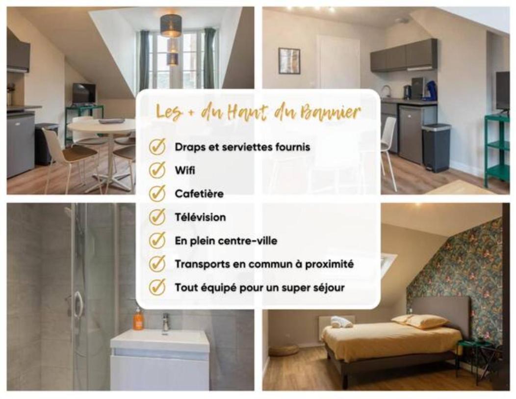 Le Haut Du Bannier * T2 * Hyper Centre * Wifi * Apartment Orleans Ngoại thất bức ảnh